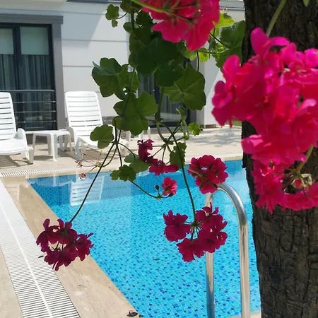 Tatil Evi Fil 3