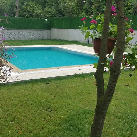 Fil 3 Sapanca